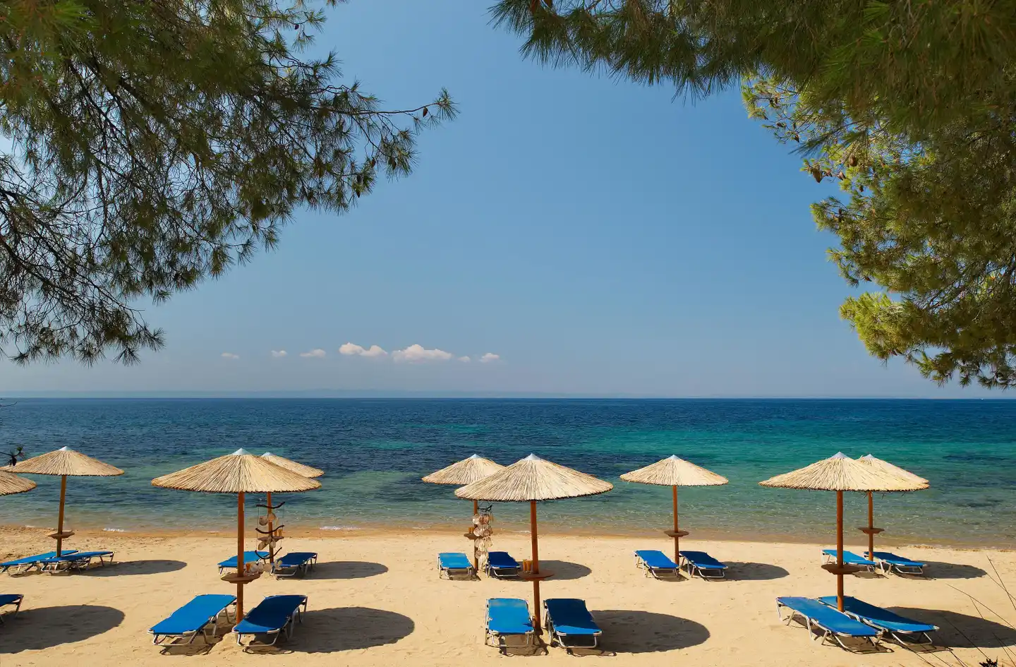 Blue Dolphin BEACH