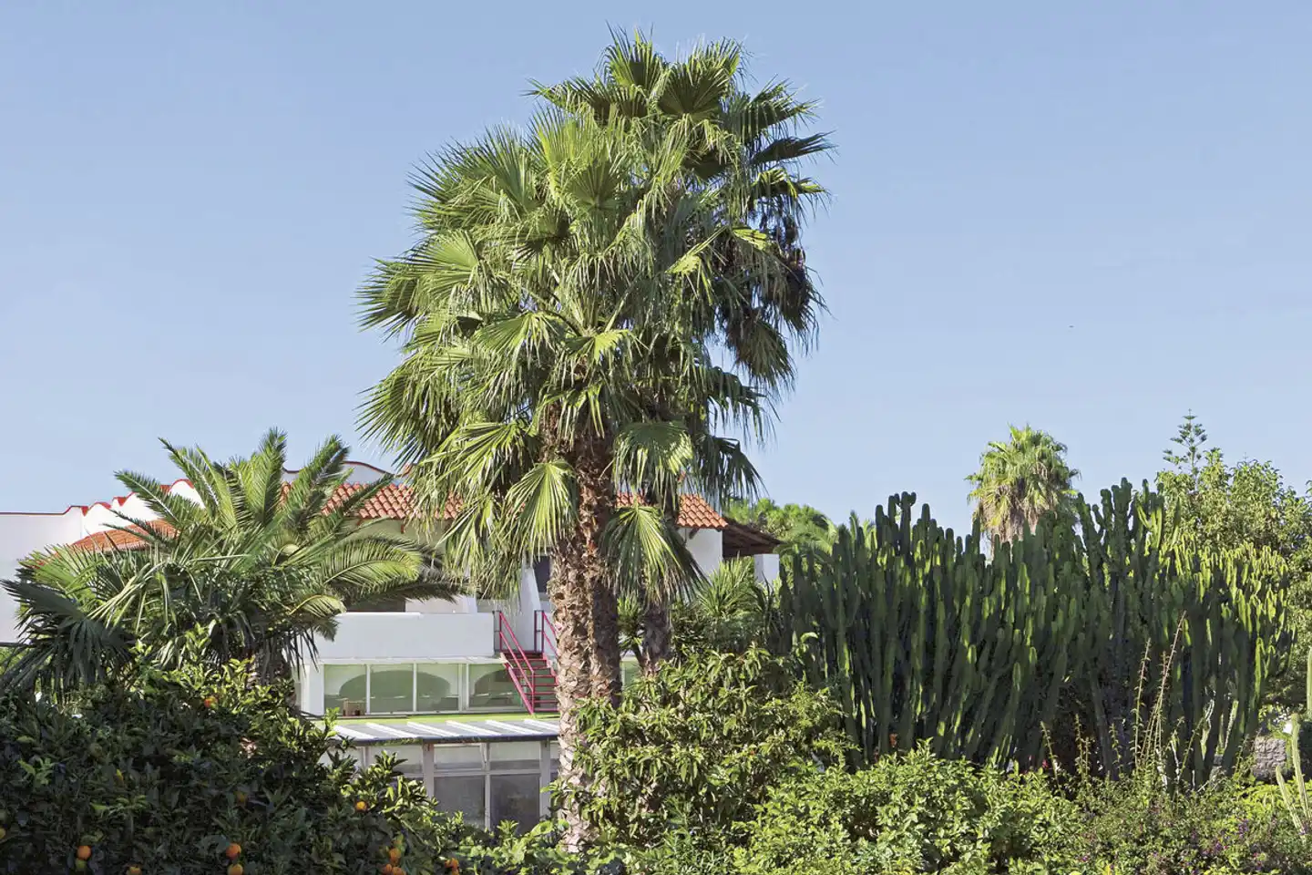 Park Hotel Terme Mediterraneo Garten