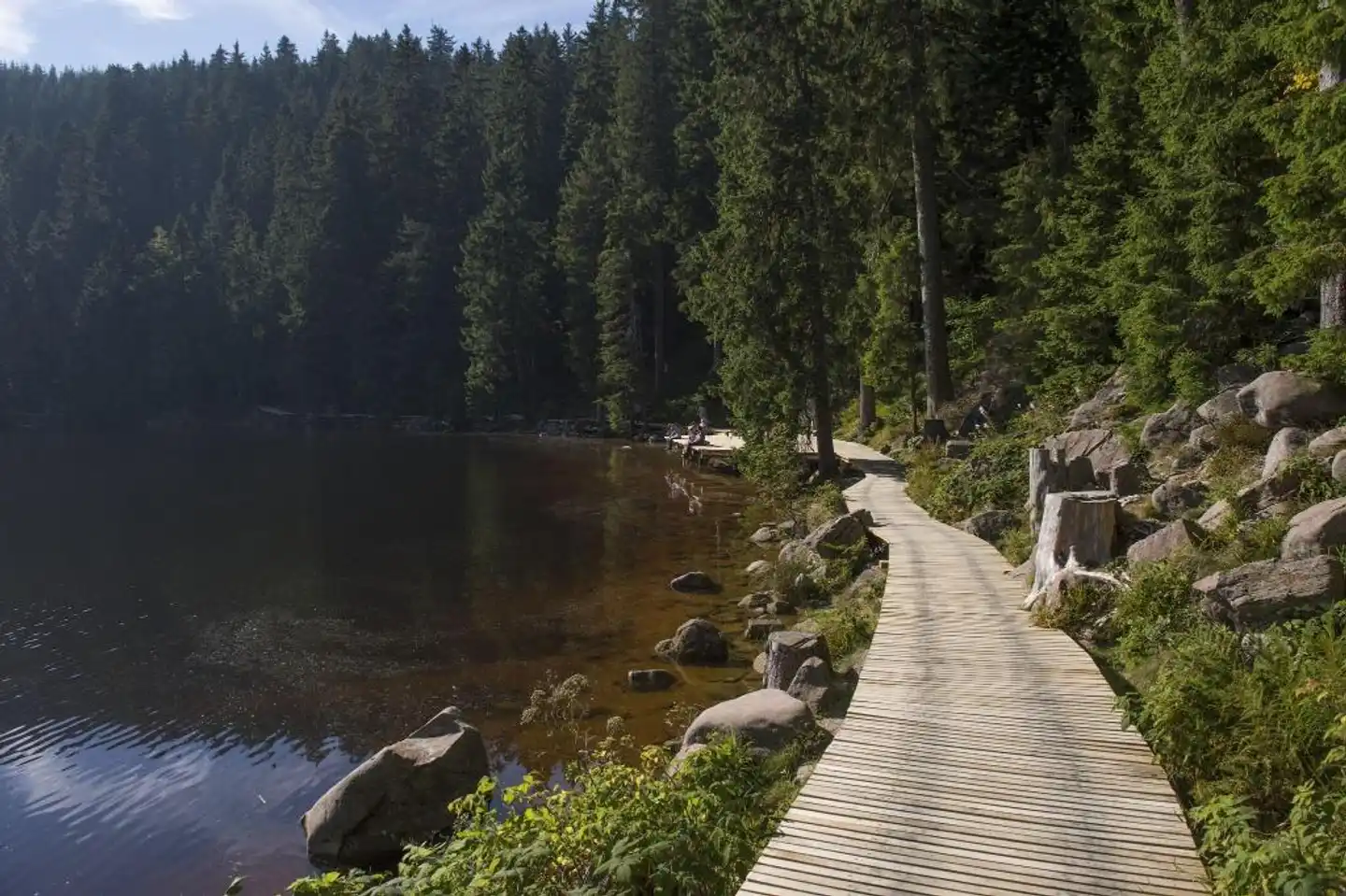Lamm Landschaft