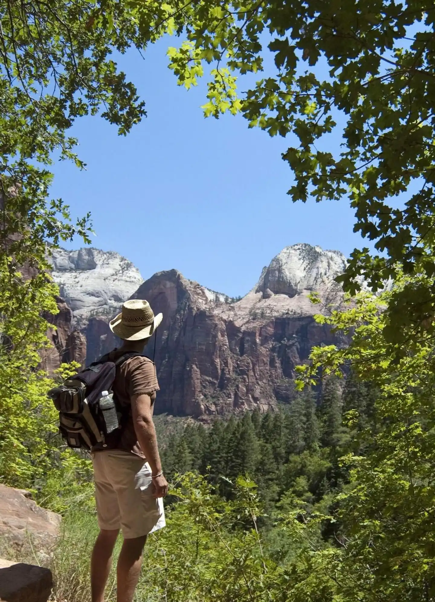 Zion Lodge Landschaft