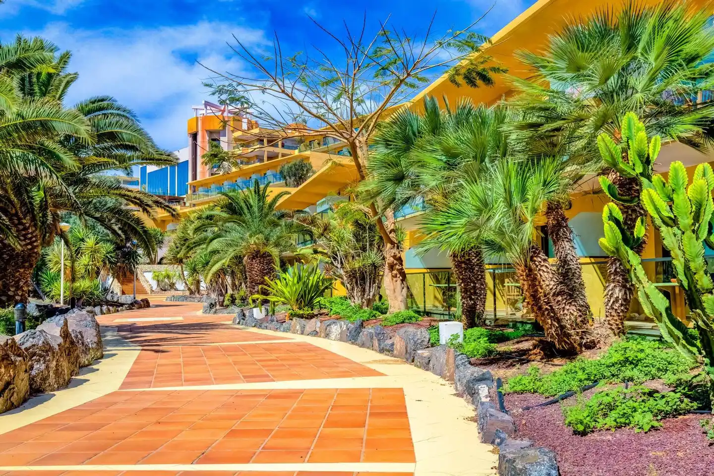 SBH Club Paraiso Playa SPORT_AND_ENTERTAINMENT