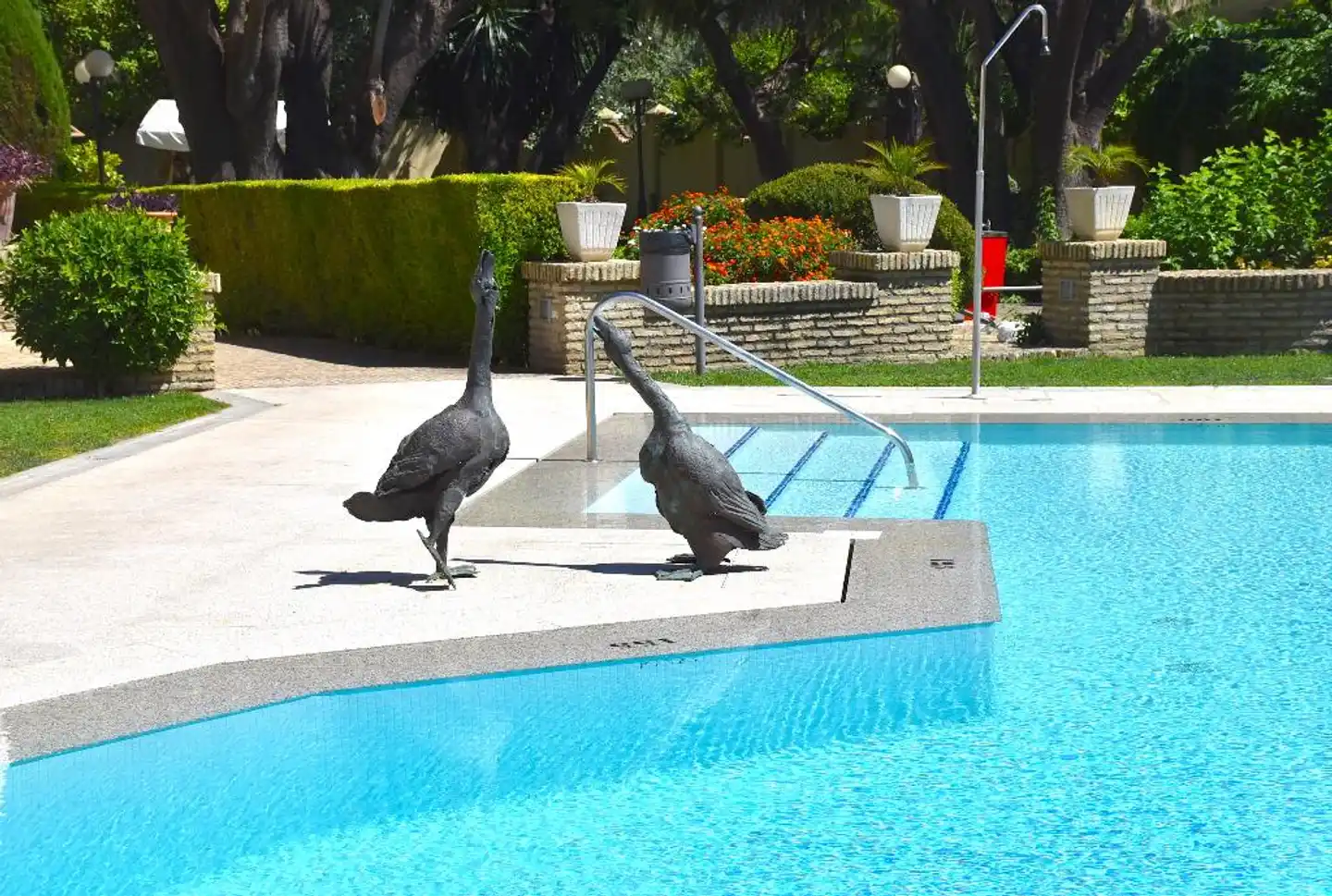Villa Jerez Pool