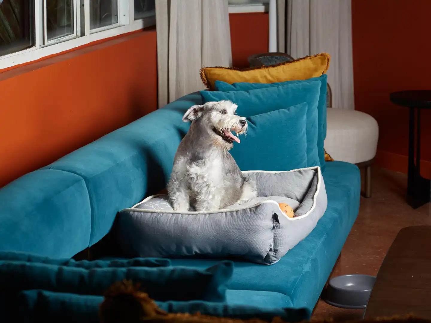 Mayfair Hotel and Spa Tiere
