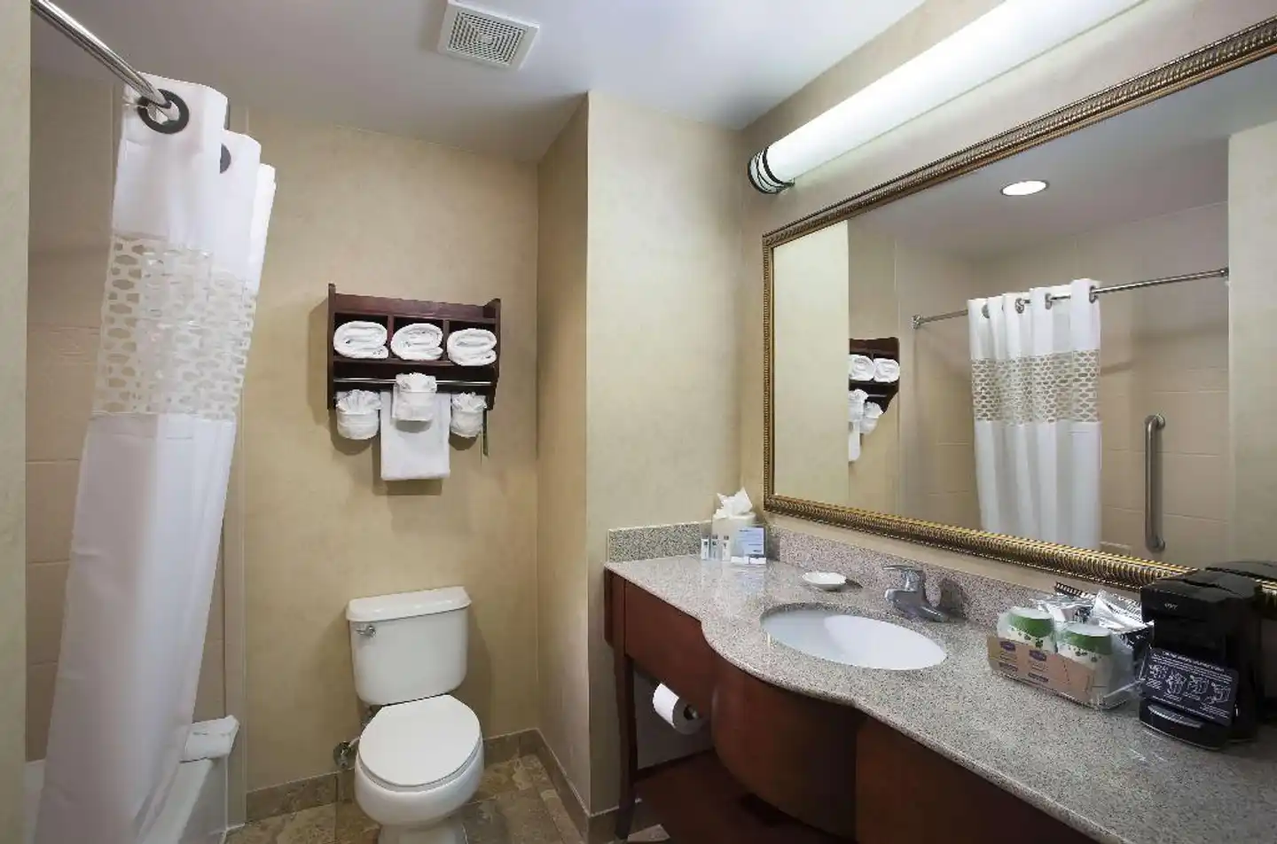 Hampton Inn Orlando/Lake Buena Vista Badezimmer