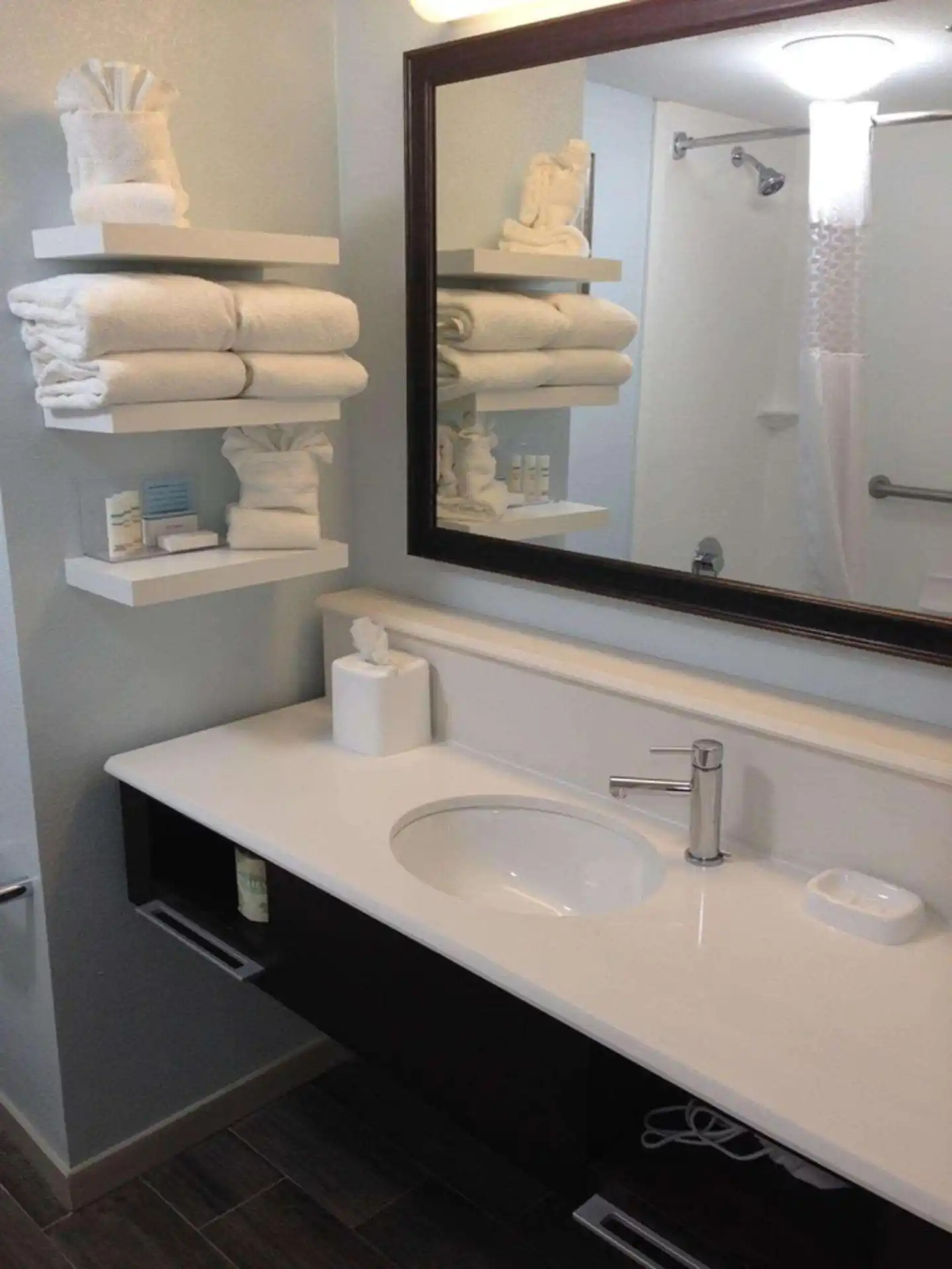 Hampton Inn Tampa/Rocky Point-Airport Badezimmer