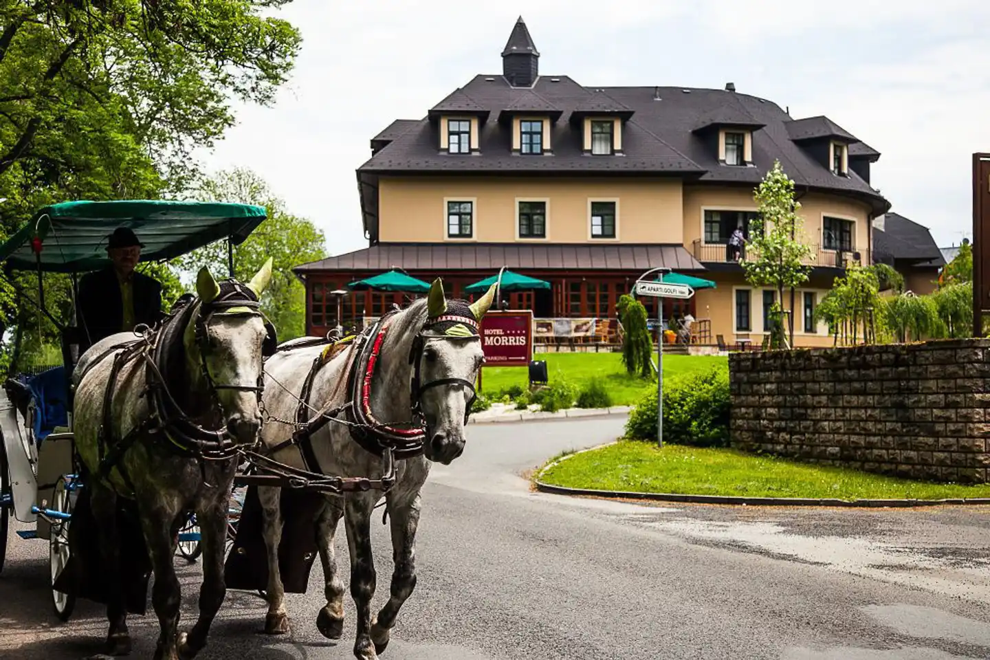 Golf Hotel Morris Sport und Entertainment