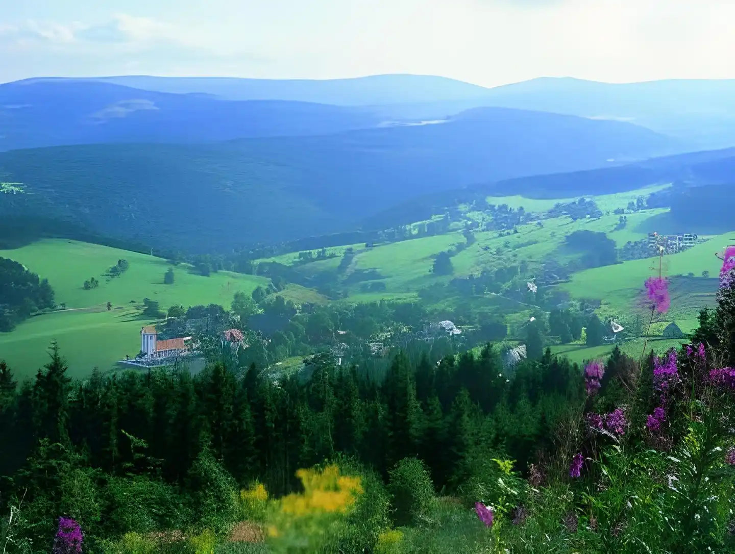 Ochsen Landschaft