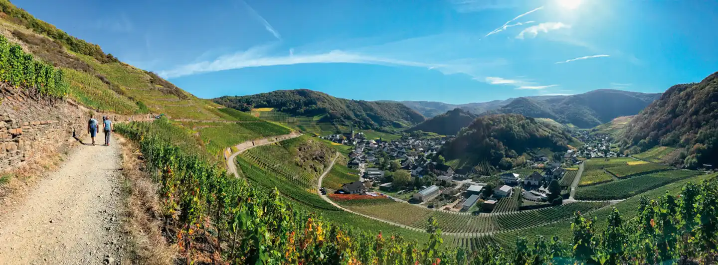 Hotel Villa Sanct Peter Landschaft