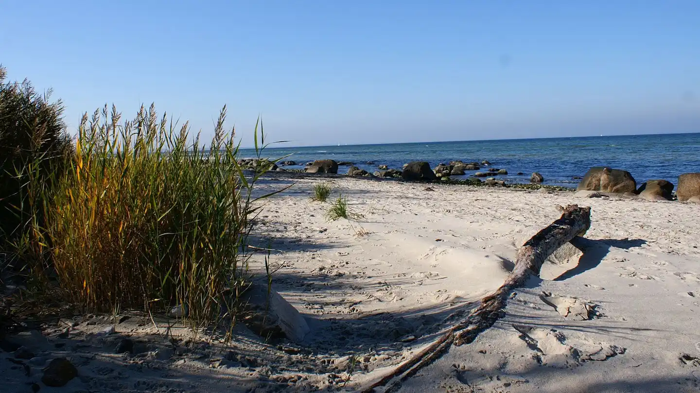 Country Inn & Suites Timmendorfer Strand Strand