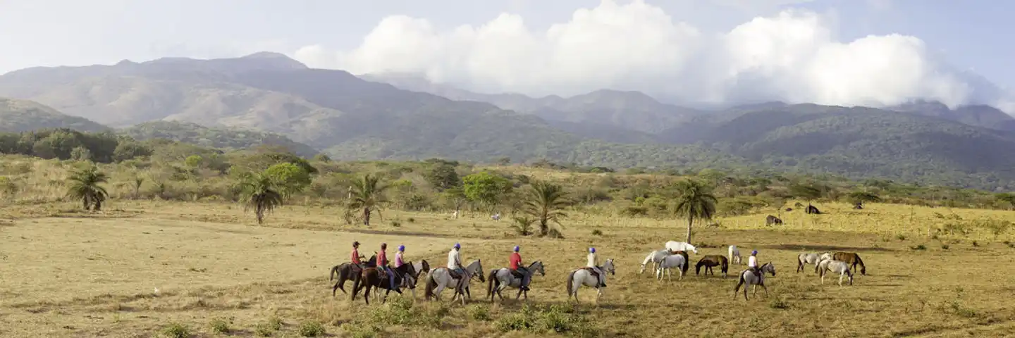 Costa Rica - Auf der Suche nach den Faultieren Landschaft