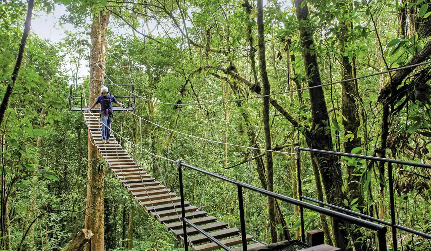 Costa Rica - Auf der Suche nach den Faultieren Landschaft