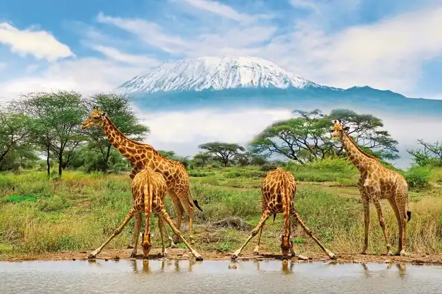 Die große Kenia Safari Sport und Entertainment