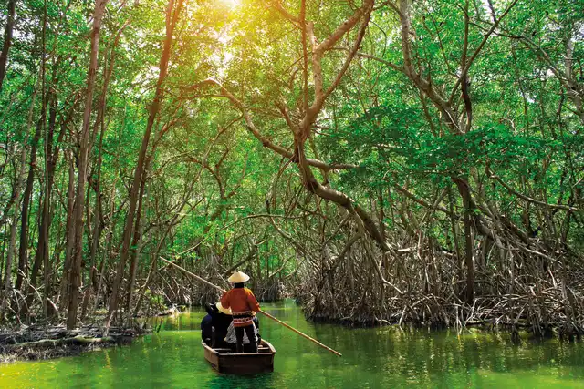 Naturwunder Borneos (Kota Kinabalu-Kuching) Landschaft