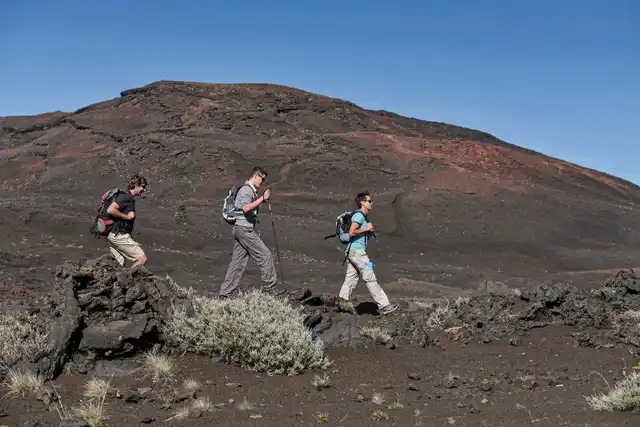 La Réunion - Nachhaltig das Paradies entdecken Tiere