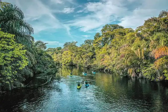 Tortuguero, Vulkane & Nebelwald Deluxe Landschaft