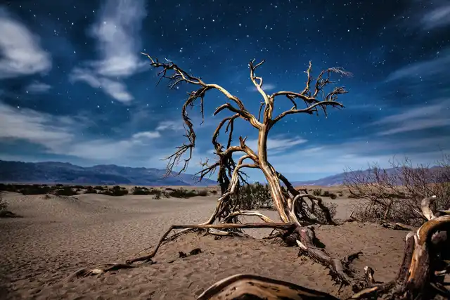 Las Vegas & die Nationalparks Landschaft