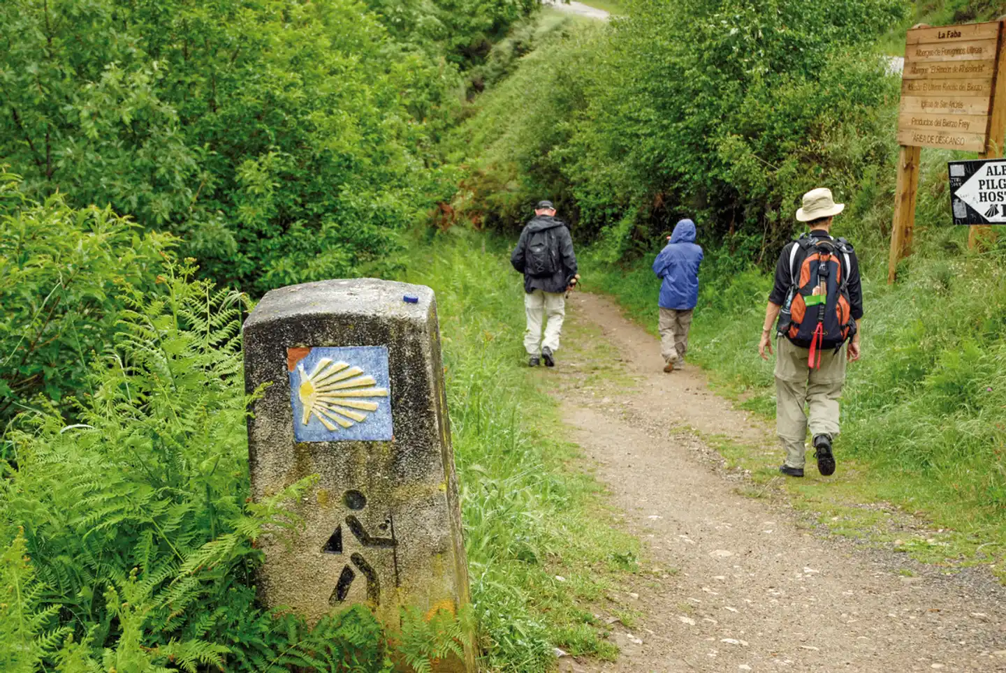 Wandern auf dem Jakobsweg - Die portugiesische Route an der Küste intensiv Garten