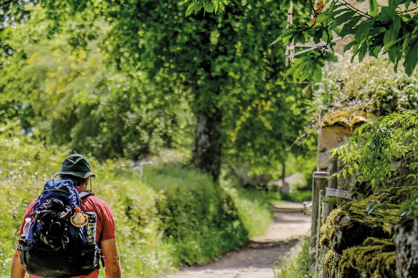 Wandern auf dem Jakobsweg - Die portugiesische Route an der Küste intensiv Garten