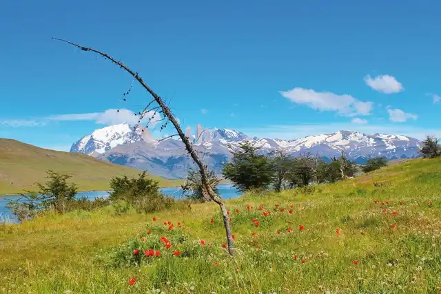 Torres del Paine - wilde Schönheit (Privatreise,  deutschsprachig) Landschaft