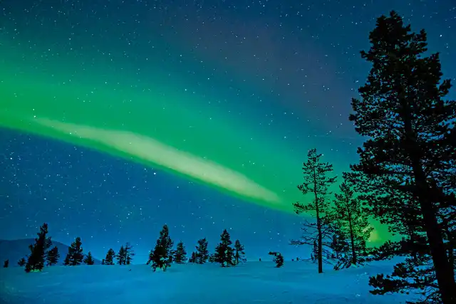 Perlen unter dem Polarlicht Tiere