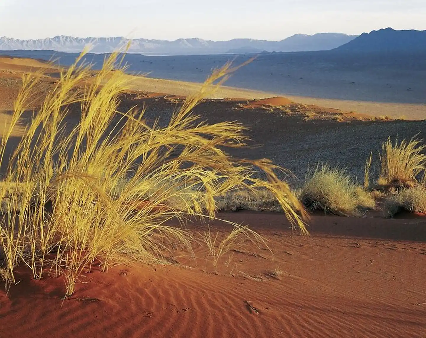 Namibia Classic Standard Landschaft