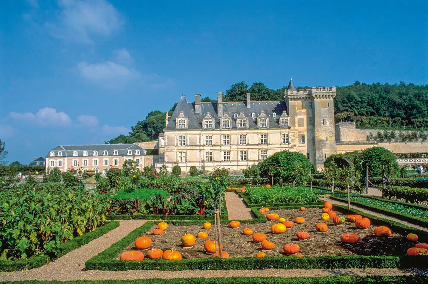 Schlösser der Loire ab Blois Aussenansicht