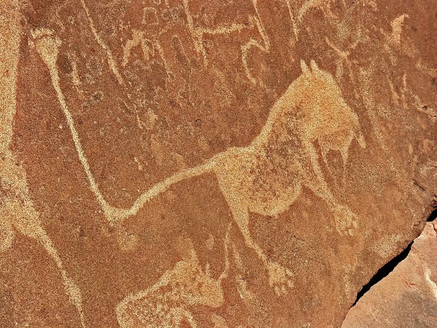 Namibia Classic Standard Tiere