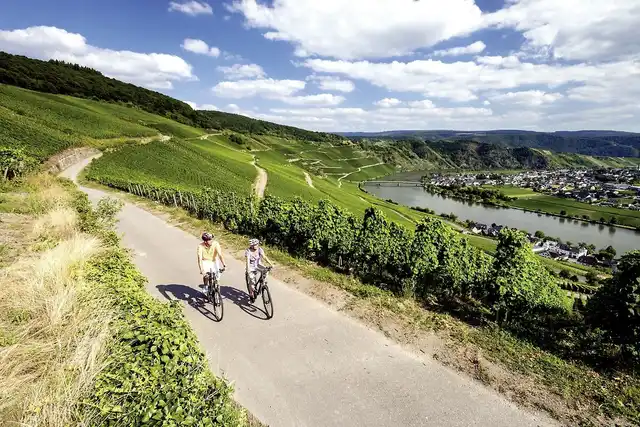 Mosel-Radweg mit Charme Landschaft