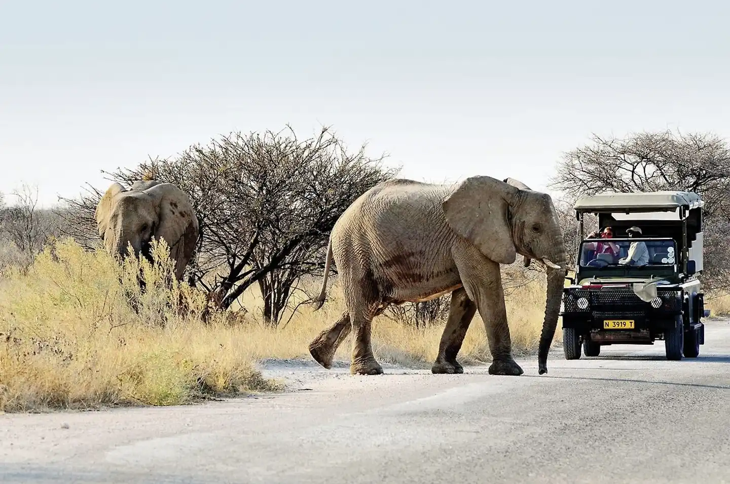 Grandiose Landschaften Südens Tiere