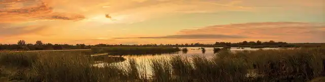 Floride Intensif Landschaft
