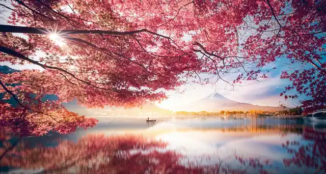 Japan entdecken (inkl. Flug) Landschaft