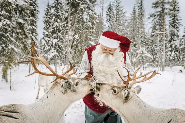 Finnisches Winterwunderland Tiere