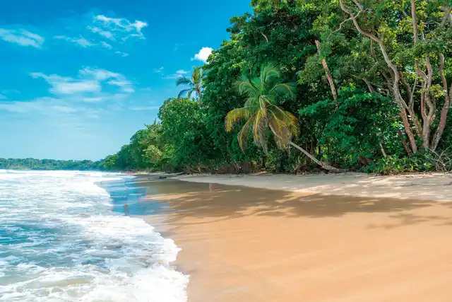 Nationalpark Cahuita Landschaft