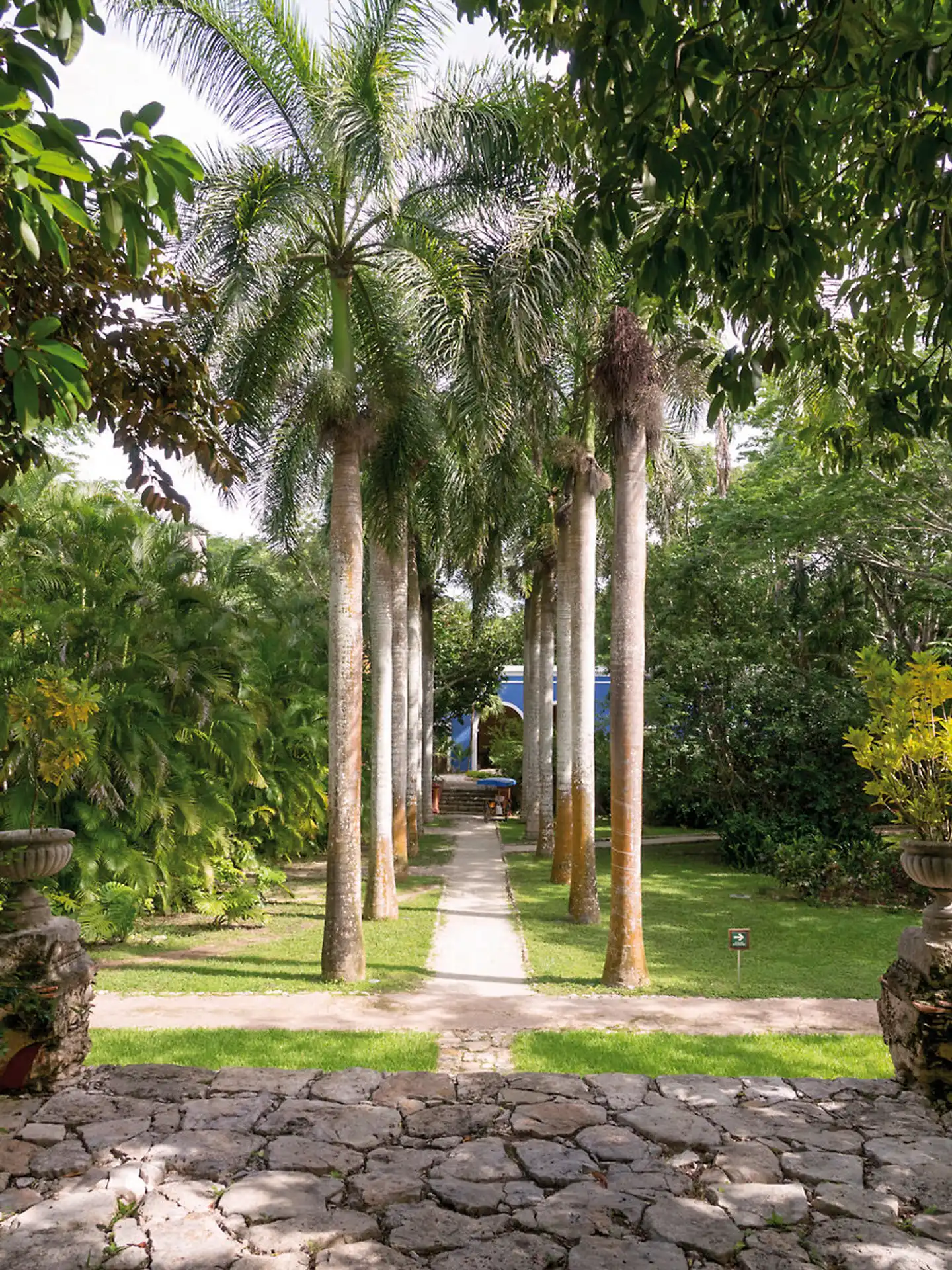Hacienda San José Cholul Garten