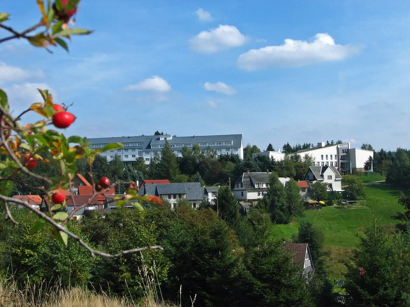 Werrapark Resort Hotel Heubacher Höhe Landschaft
