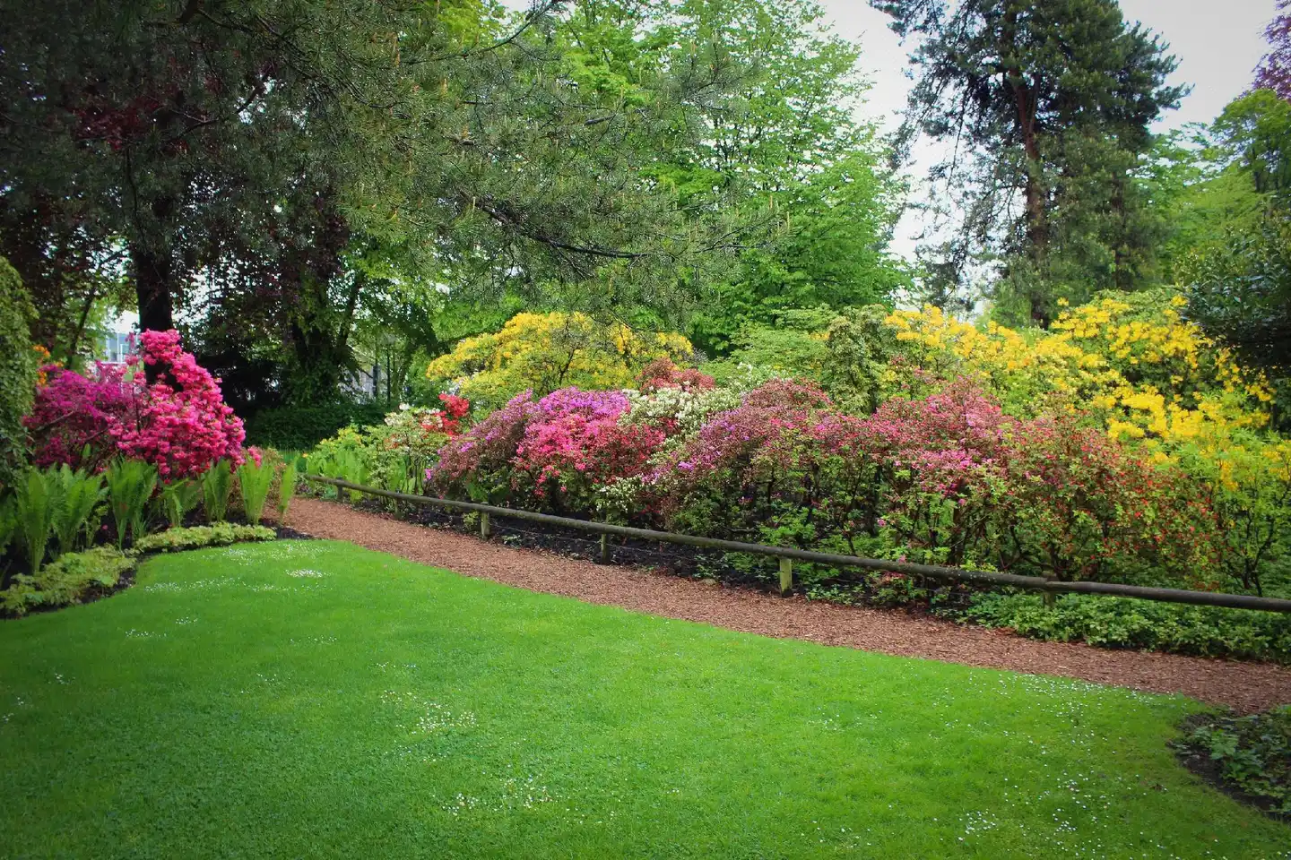 Royal Hotel Zurich Garten