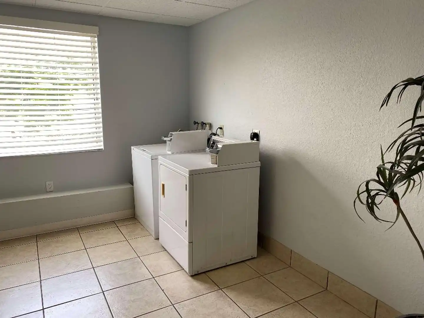 Best Western Tampa Badezimmer