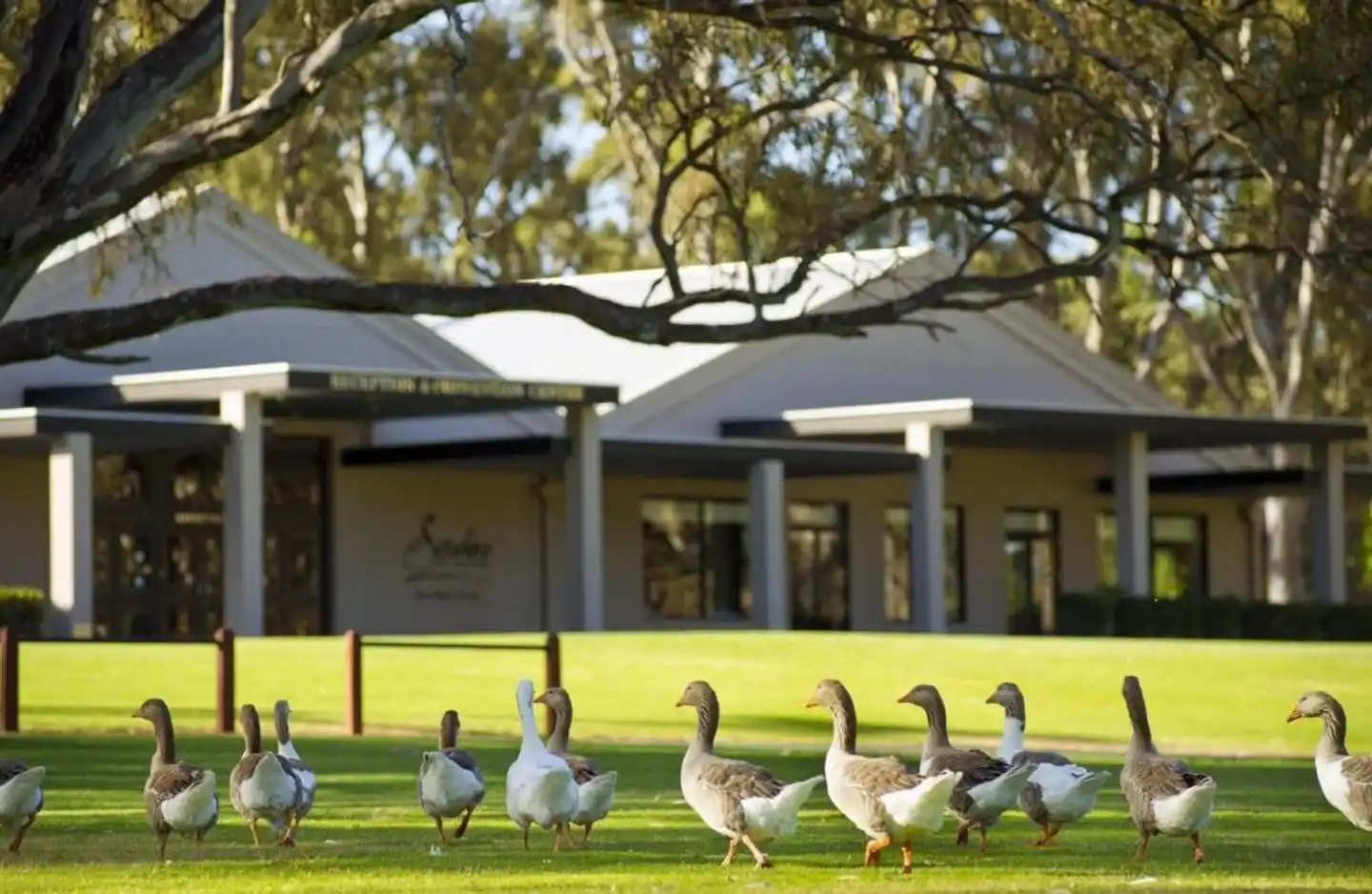 Serafino McLaren Vale Restaurant