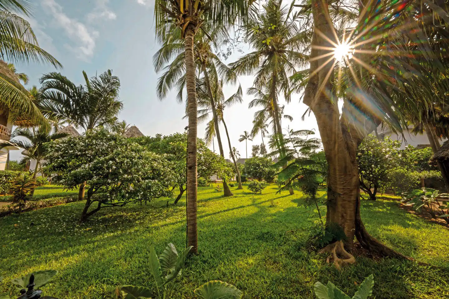 Nungwi Beach Resort by Turaco GARDEN