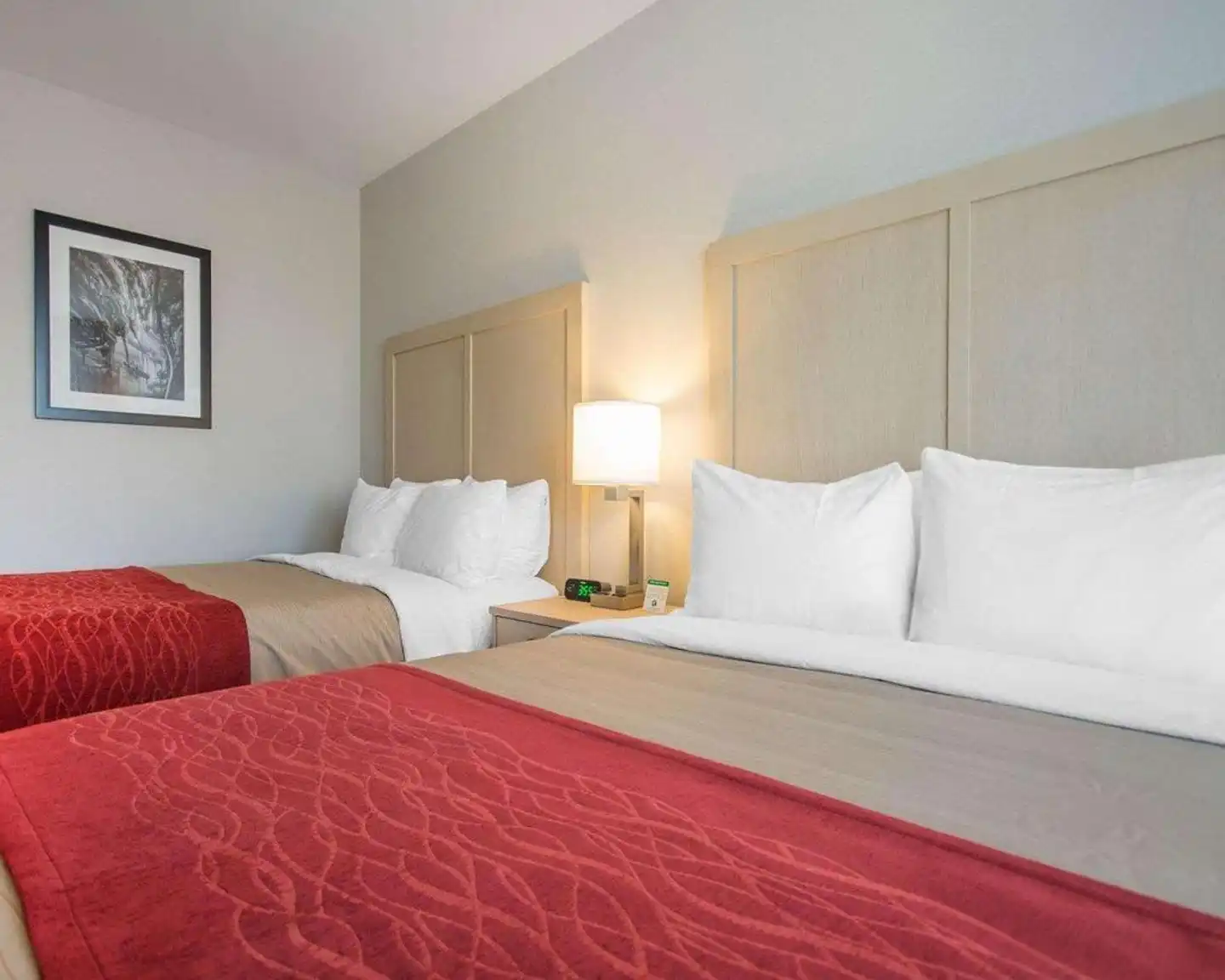 Comfort Inn & Suites, Campbell River Wohnbeispiel