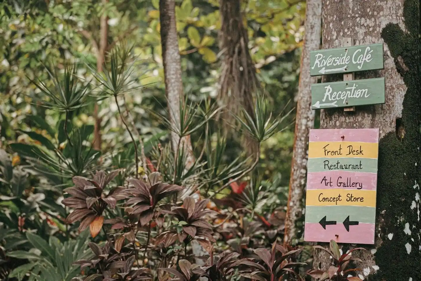 Citrus Creek Plantation Landschaft