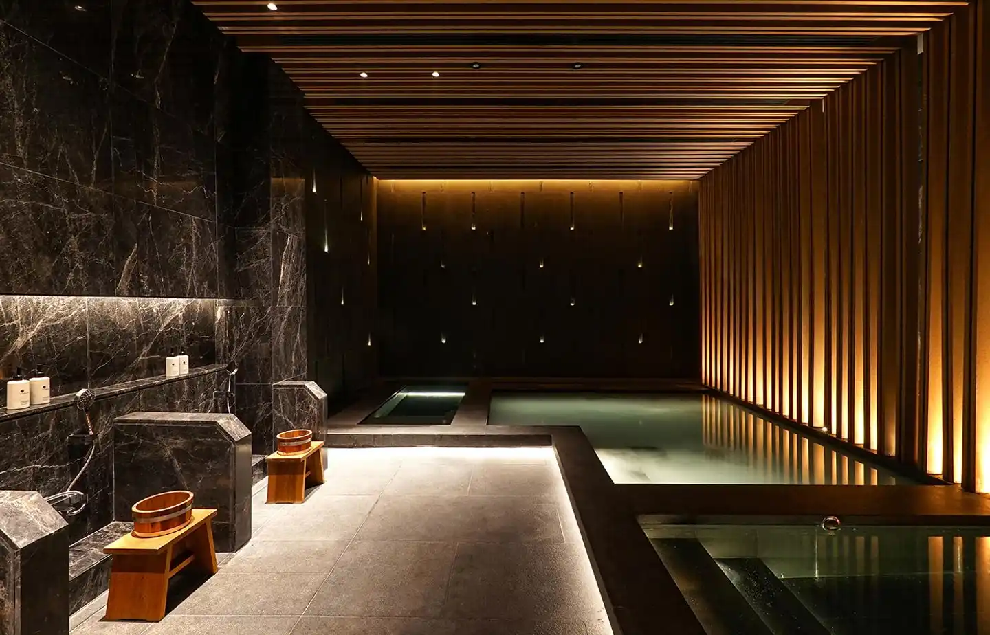 SILQ Hotel and Residence Managed by The Ascott Limited Hallenbad