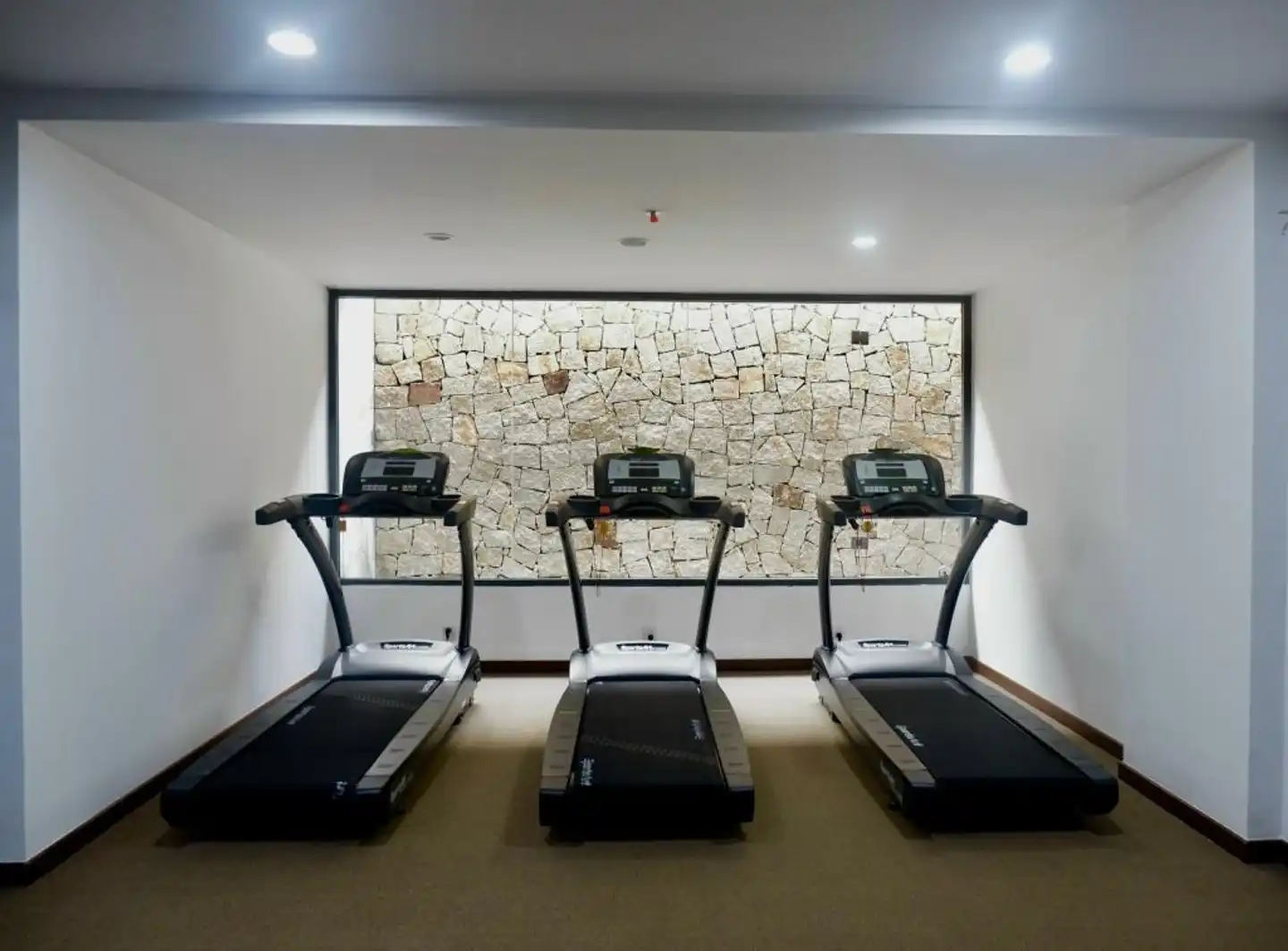 Alibu Resort Wellness