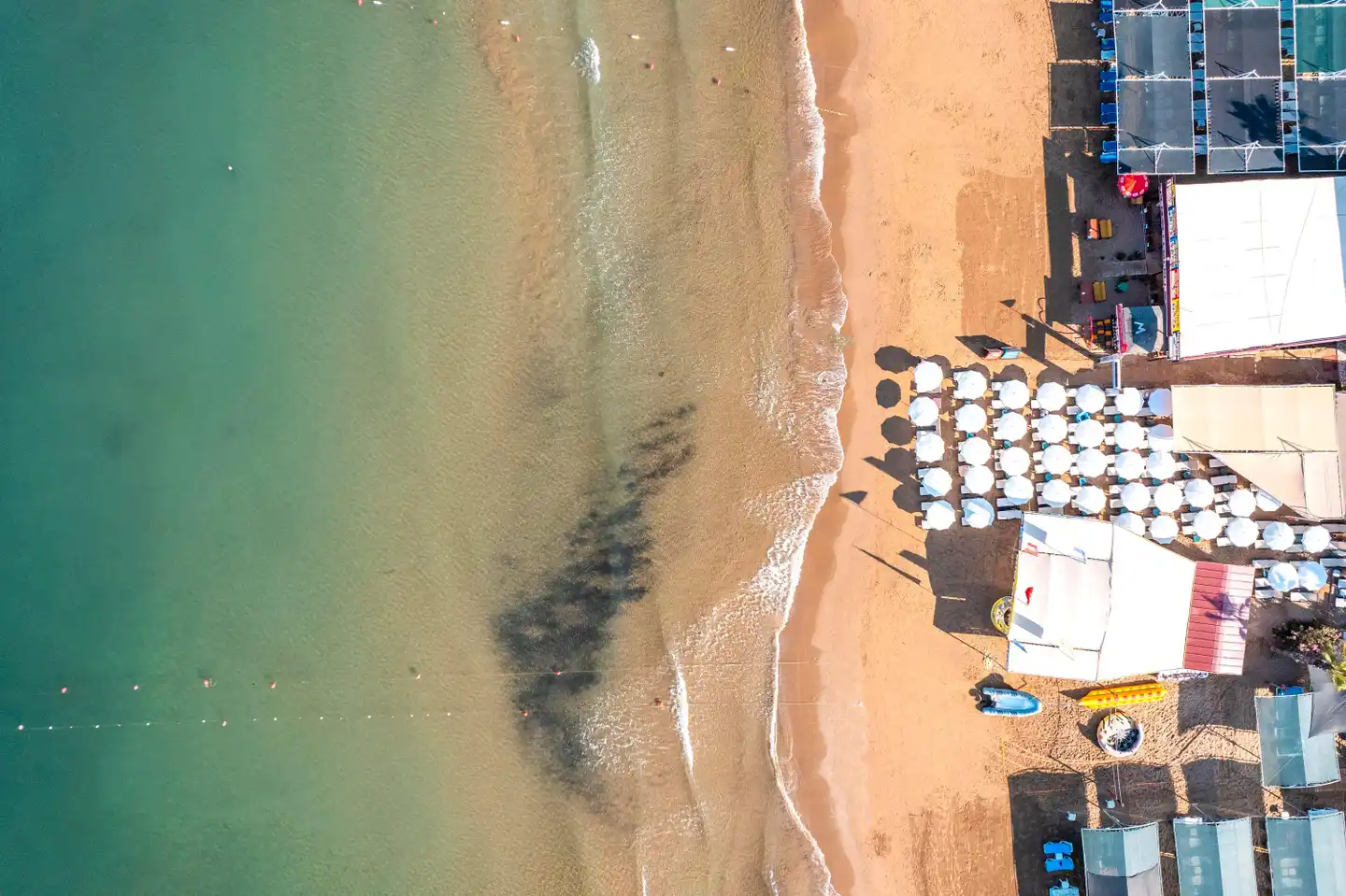 Calyptus Kirman Premium BEACH