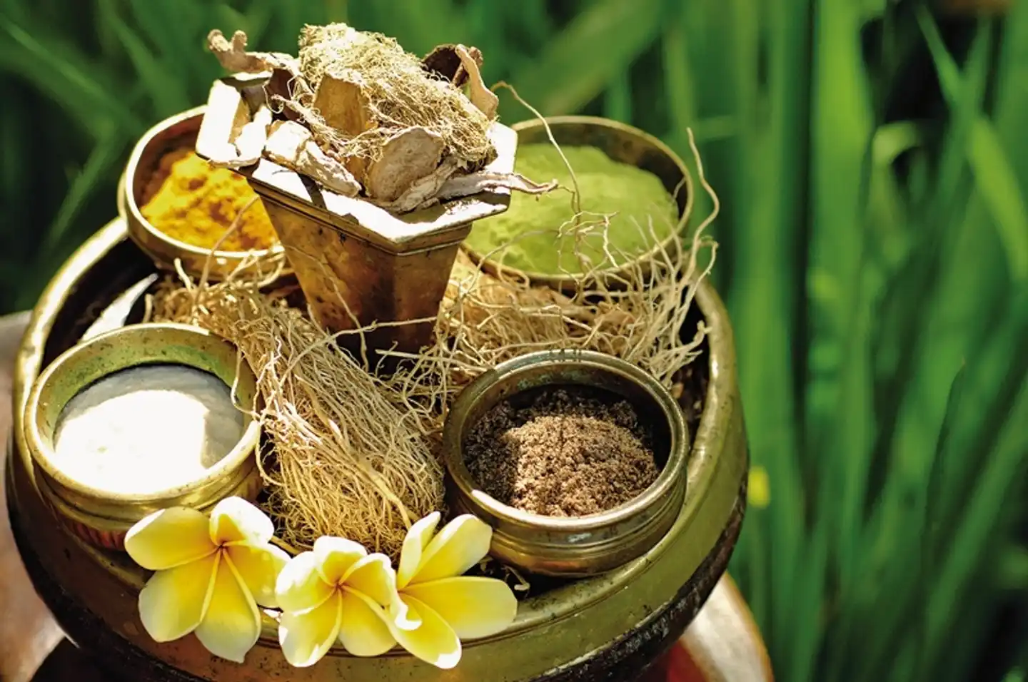 Java und Bali Rundreise Tiere