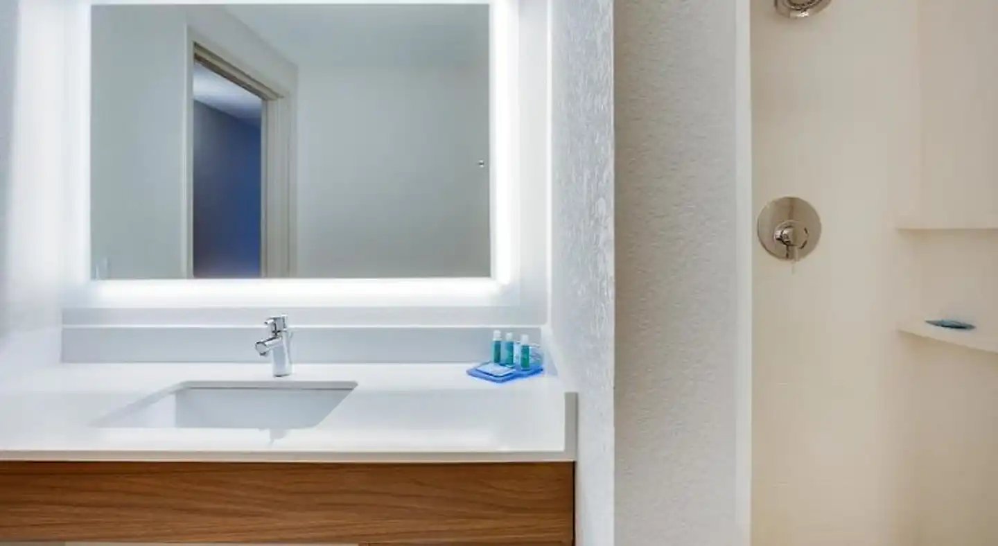 Holiday Inn Express & Suites Tampa-Fairgrounds-Casino Badezimmer