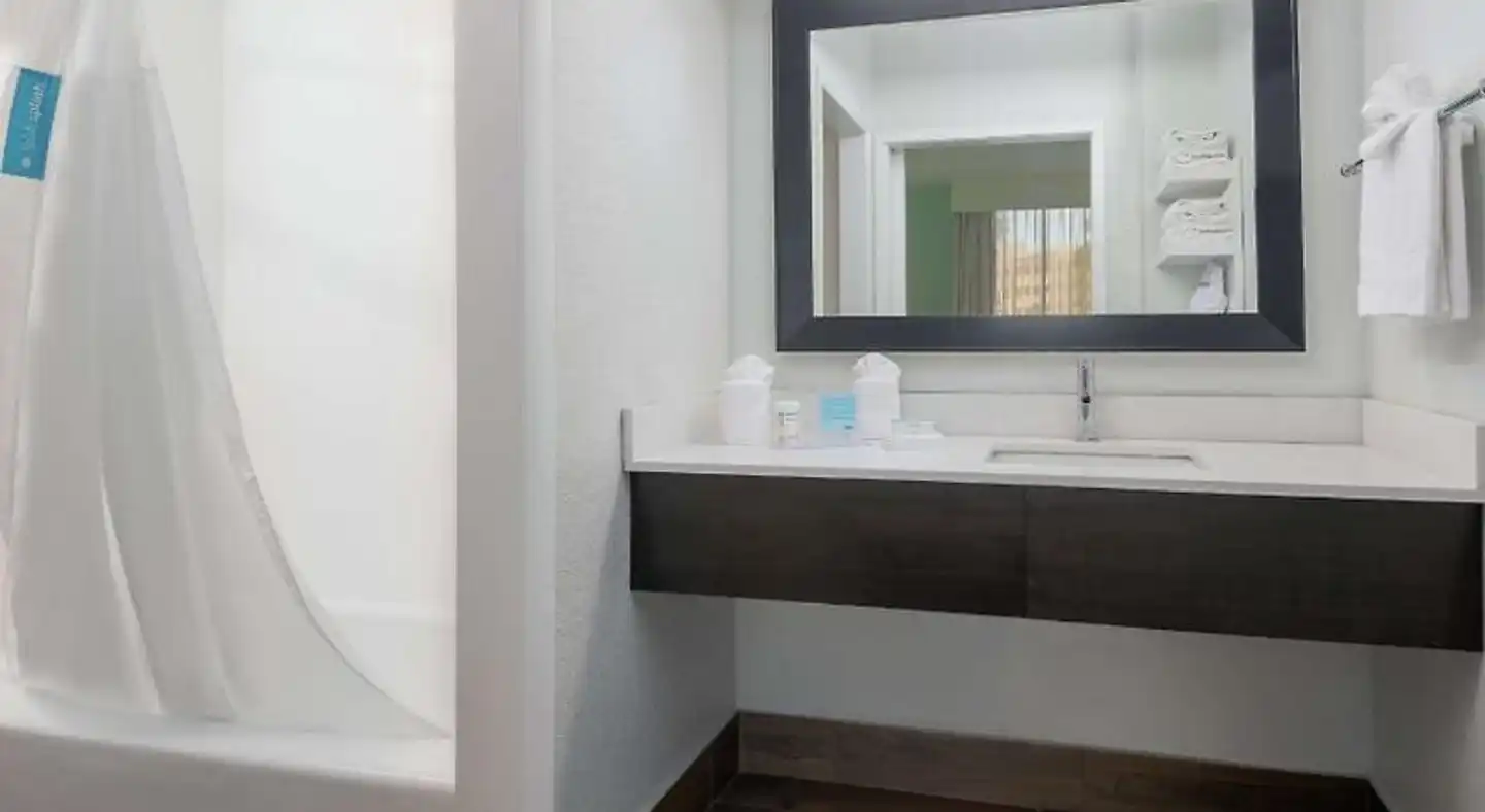 Hampton Inn Orlando Near Universal Blv/International Dr Badezimmer