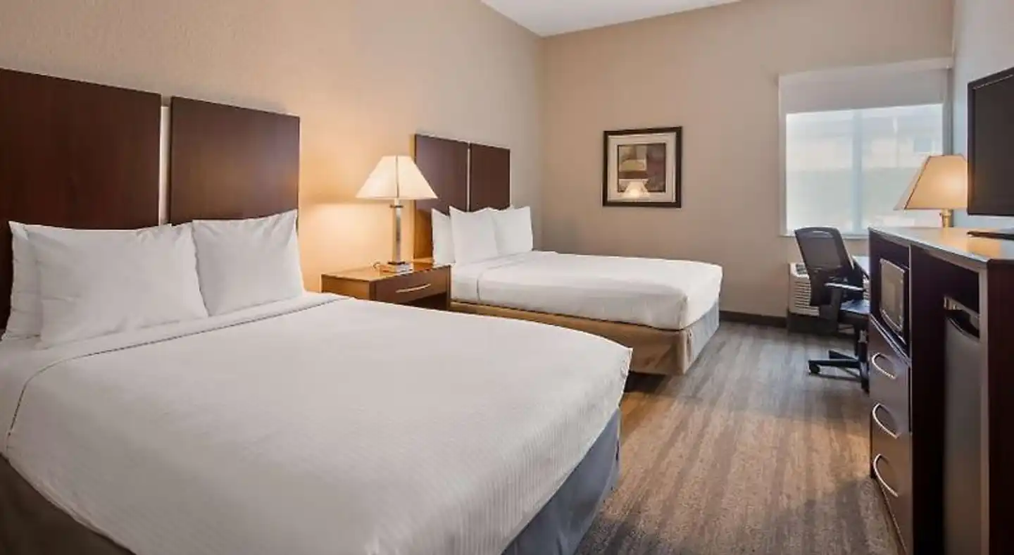 Best Western Tampa Wohnbeispiel