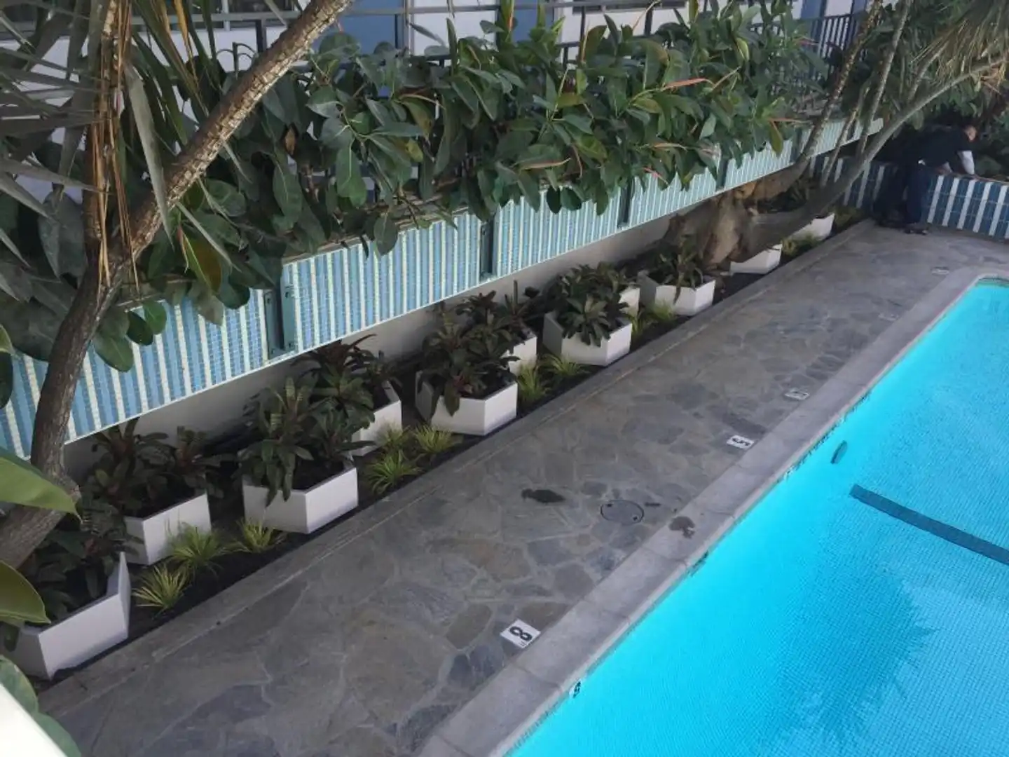 Beverly Laurel Motor Hotel Pool