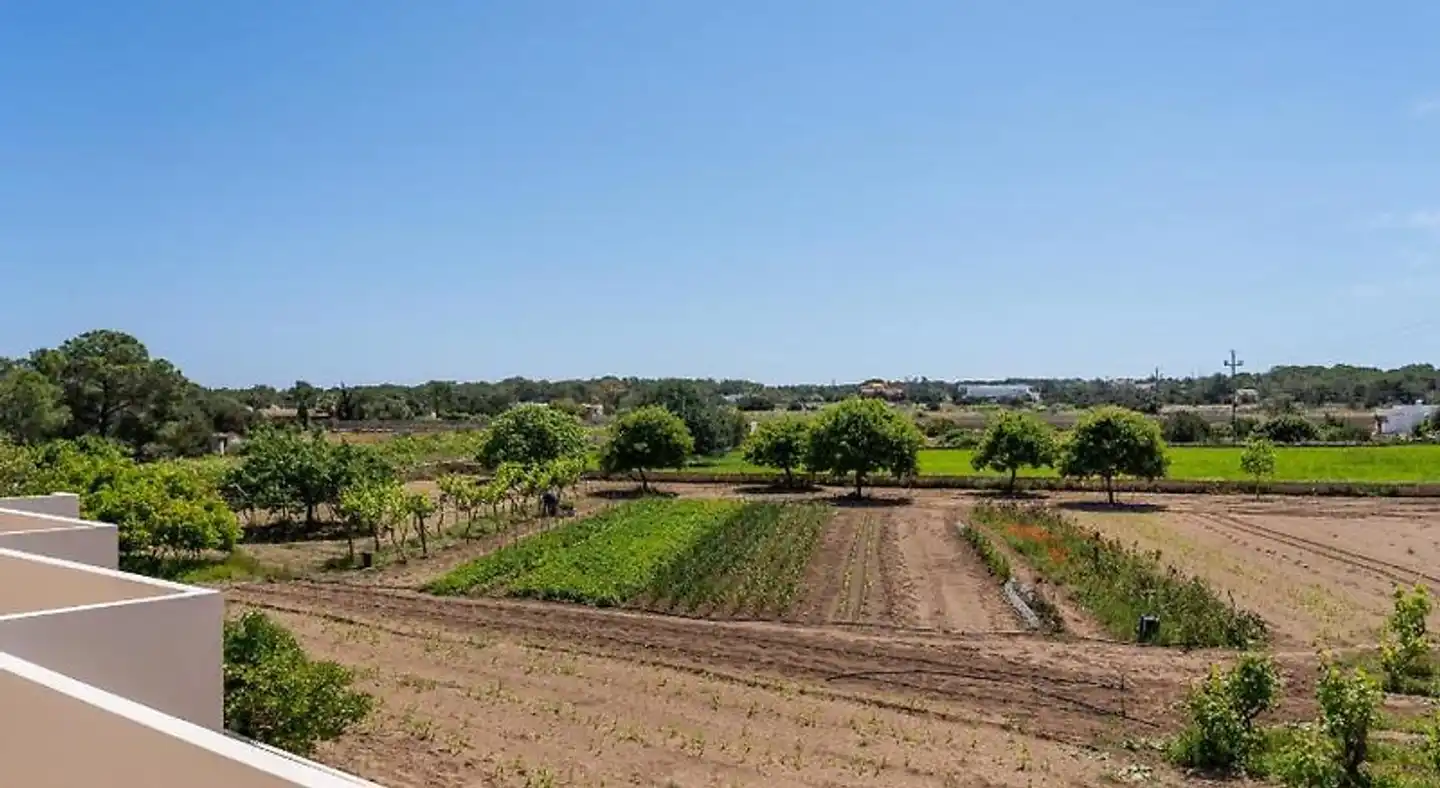 Apartamentos Marcelino - Formentera Break Landschaft